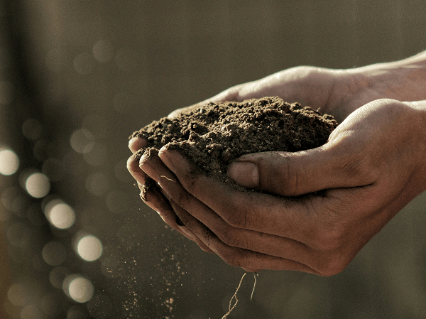 Accident de la vie privée - jardinage Accident de la vie privée - jardinage